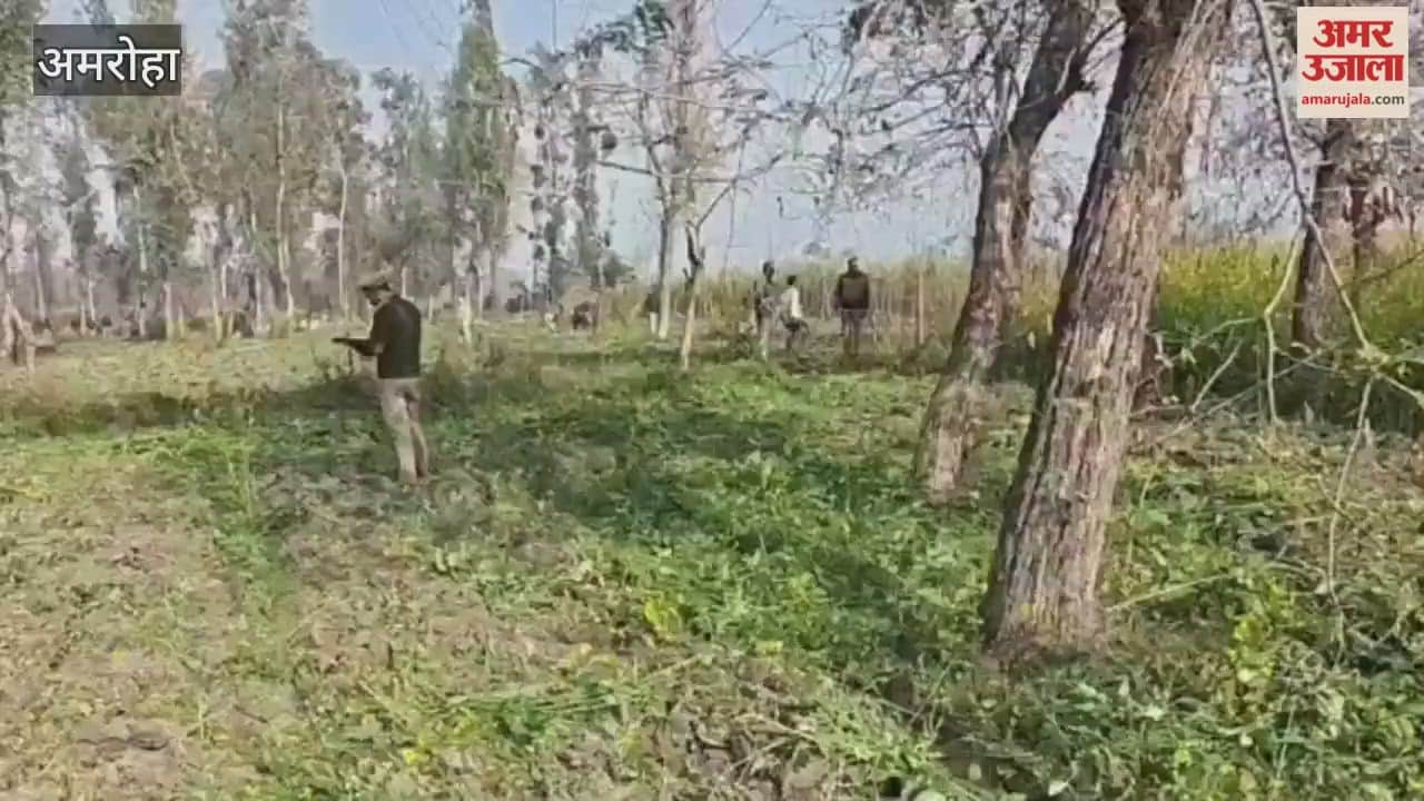 forest department, with the help of the police, reclaimed 100 bighas of land from encroachers