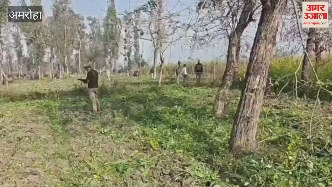 forest department, with the help of the police, reclaimed 100 bighas of land from encroachers
