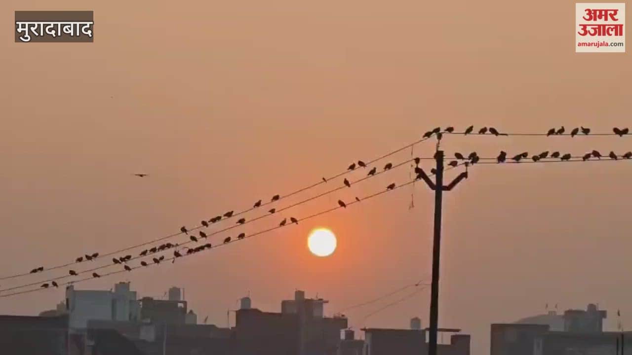 increasing cold in Moradabad is affecting daily life, and people are taking refuge around bonfires