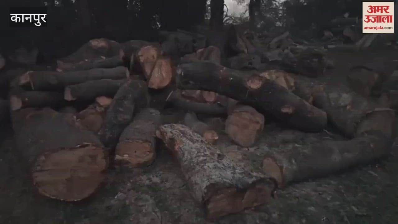 Illegal felling of green trees continues under the cover of winter; police and forest department remain silent