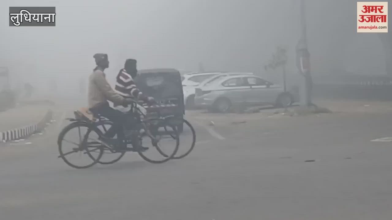 Dense fog in Ludhiana