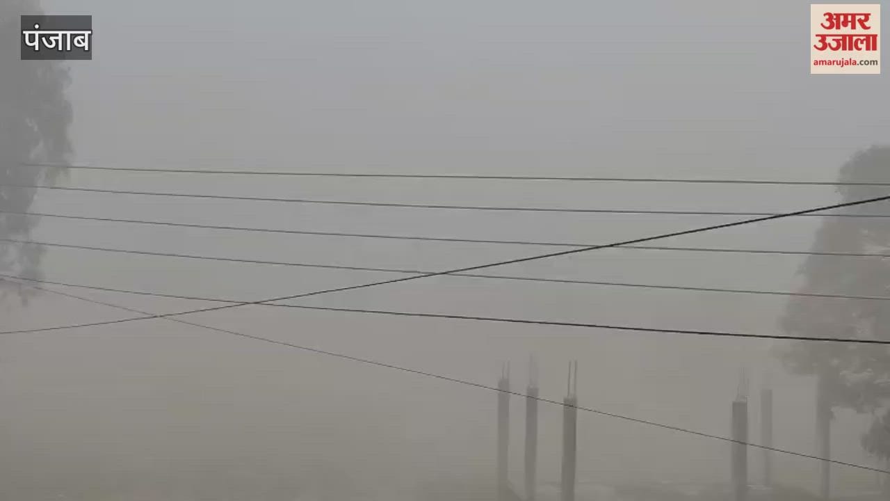Dense Fog in Phagwara