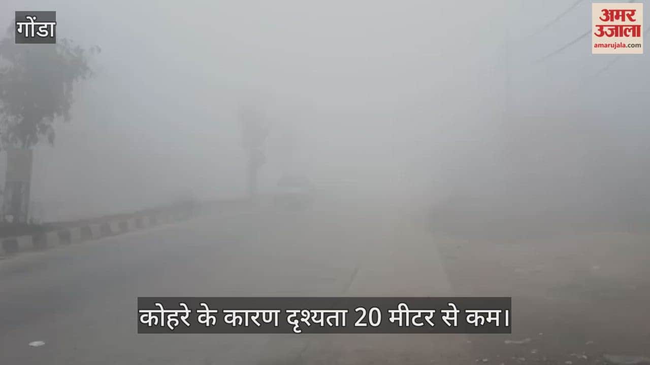 VIDEO: गोंडा में घना कोहरा, गलन बढ़ी; दृश्यता 20 मीटर से कम
