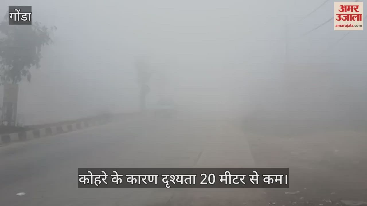 VIDEO: गोंडा में घना कोहरा, गलन बढ़ी; दृश्यता 20 मीटर से कम