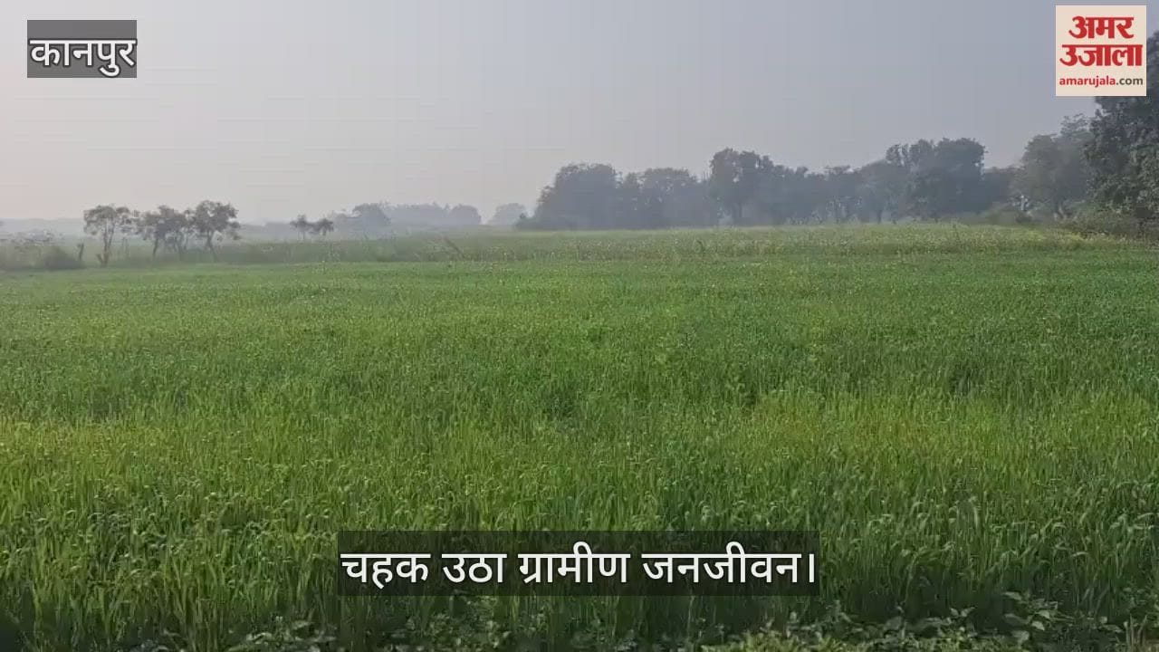 कानपुर: भीतरगांव में सुबह कोहरे का पहरा, तीन घंटे बाद सुनहरी धूप ने दिलाई ठिठुरन से राहत