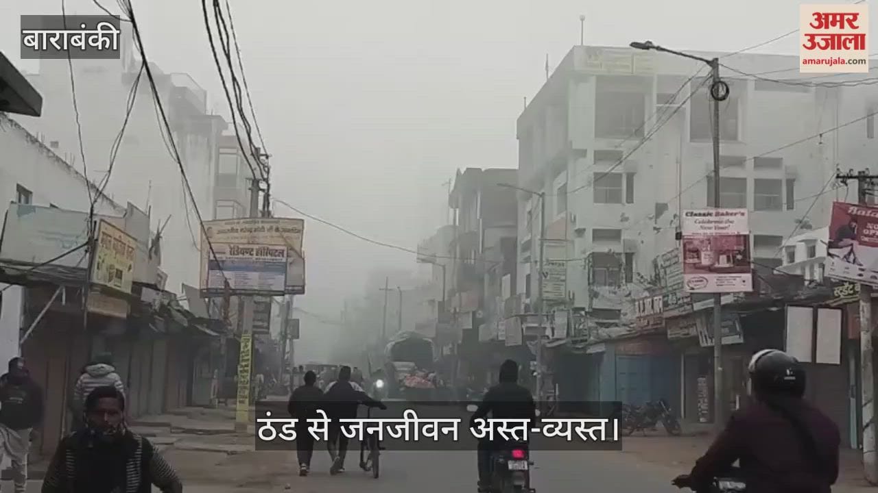 VIDEO: मौसम फिर बिगड़ा, कोहरे की चादर में लिपटा तराई इलाका, ठंड से जनजीवन अस्त-व्यस्त