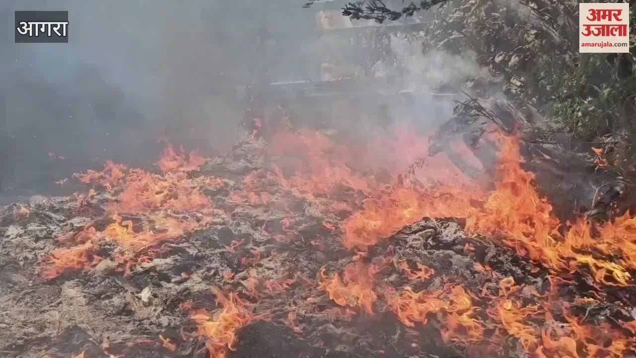massive fire broke out in bushes under bridge on MG Road