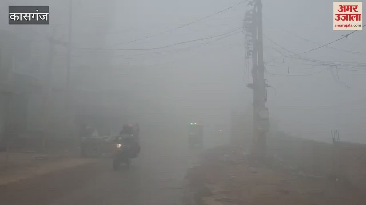 cold wave has disrupted normal life