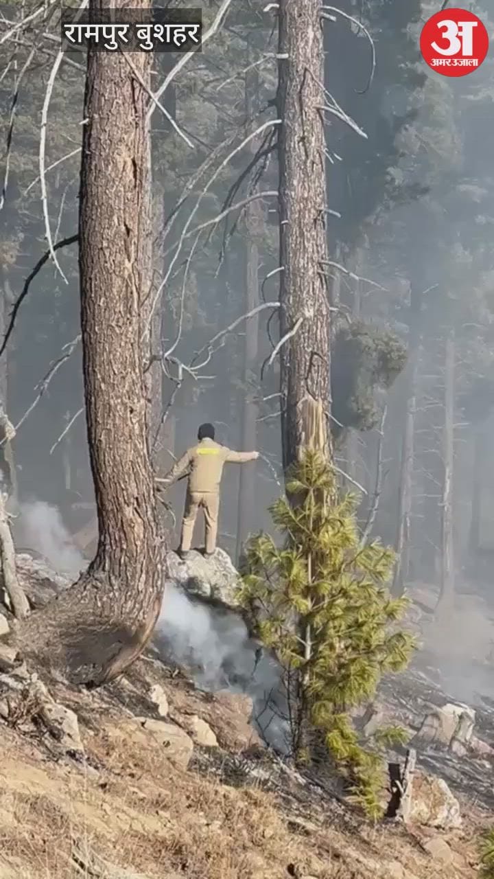 Rampur Bushahr The forests of Kandar and Sakakanda in Kinnaur have been burning for five days