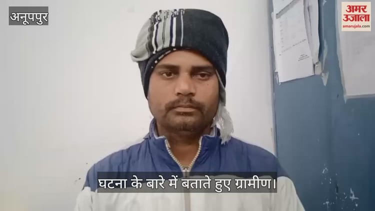 Anuppur News: हाथी के हमले में गंभीर रूप से घायल हो गए थे 80 वर्षीय वृद्ध, उपचार के दौरान हुई मौत