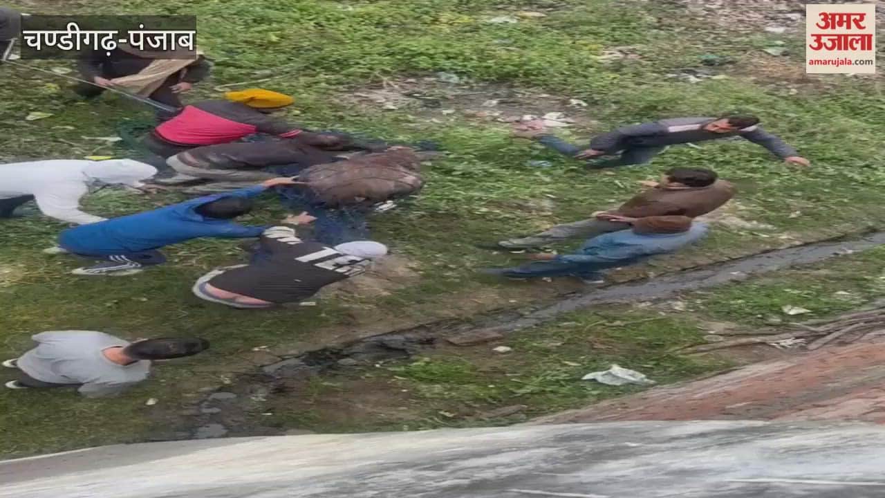 deer strayed from forest and entered residential area forest department rescued