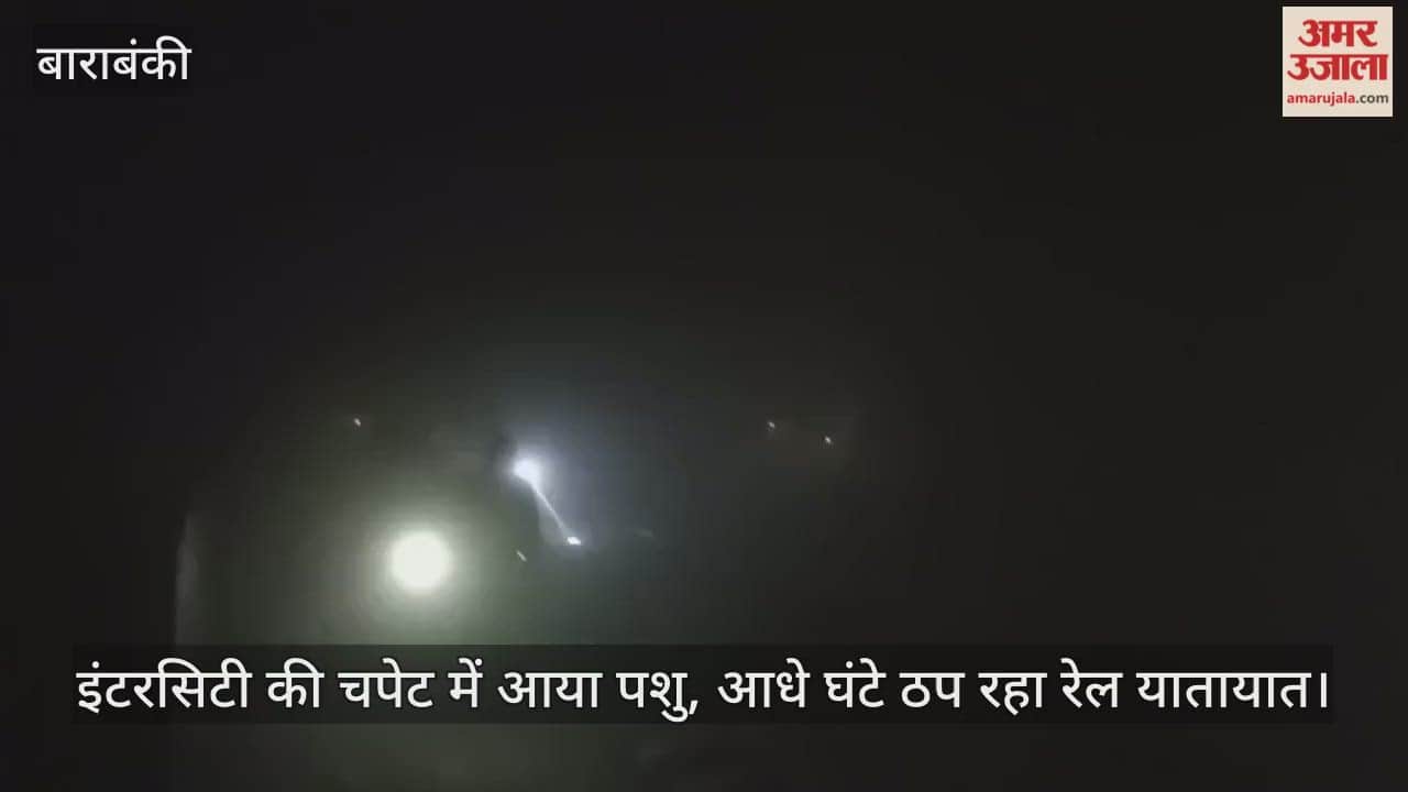 Video: इंटरसिटी की चपेट में आया पशु, आधे घंटे ठप रहा रेल यातायात