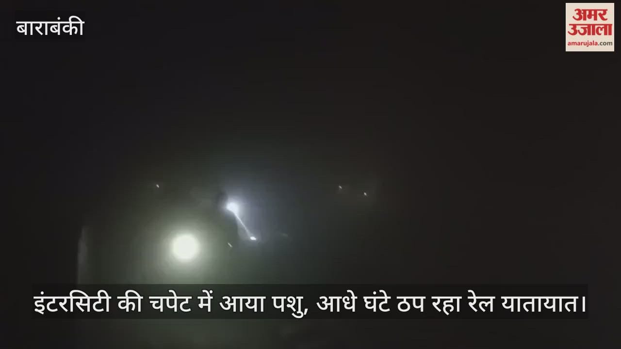 Video: इंटरसिटी की चपेट में आया पशु, आधे घंटे ठप रहा रेल यातायात