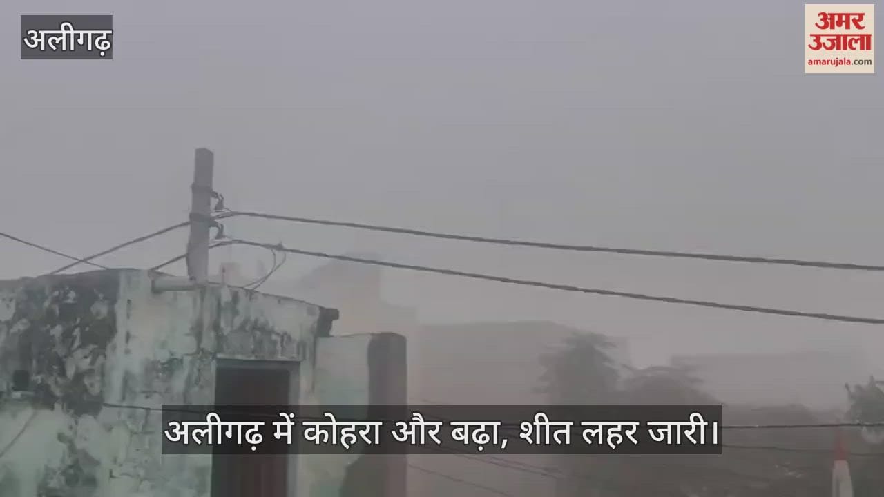 अलीगढ़ में कोहरा और बढ़ा, शीत लहर जारी