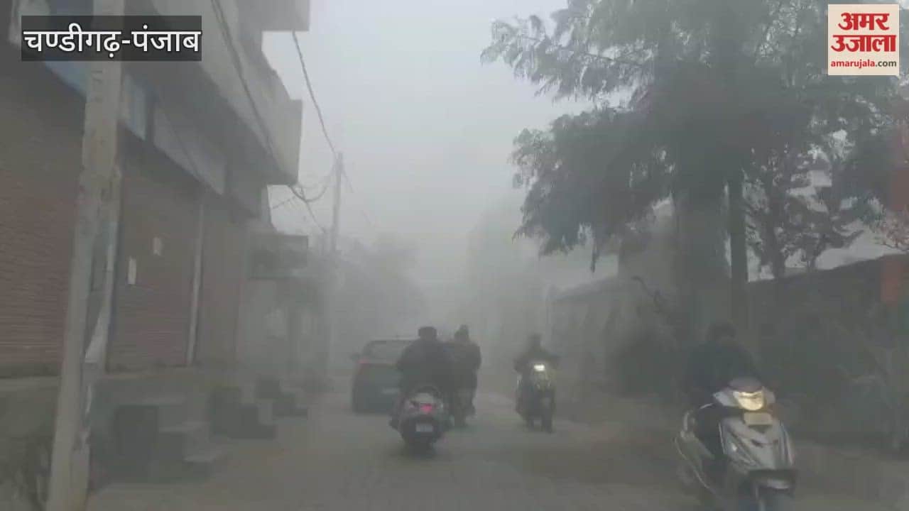 dense fog in firozpur