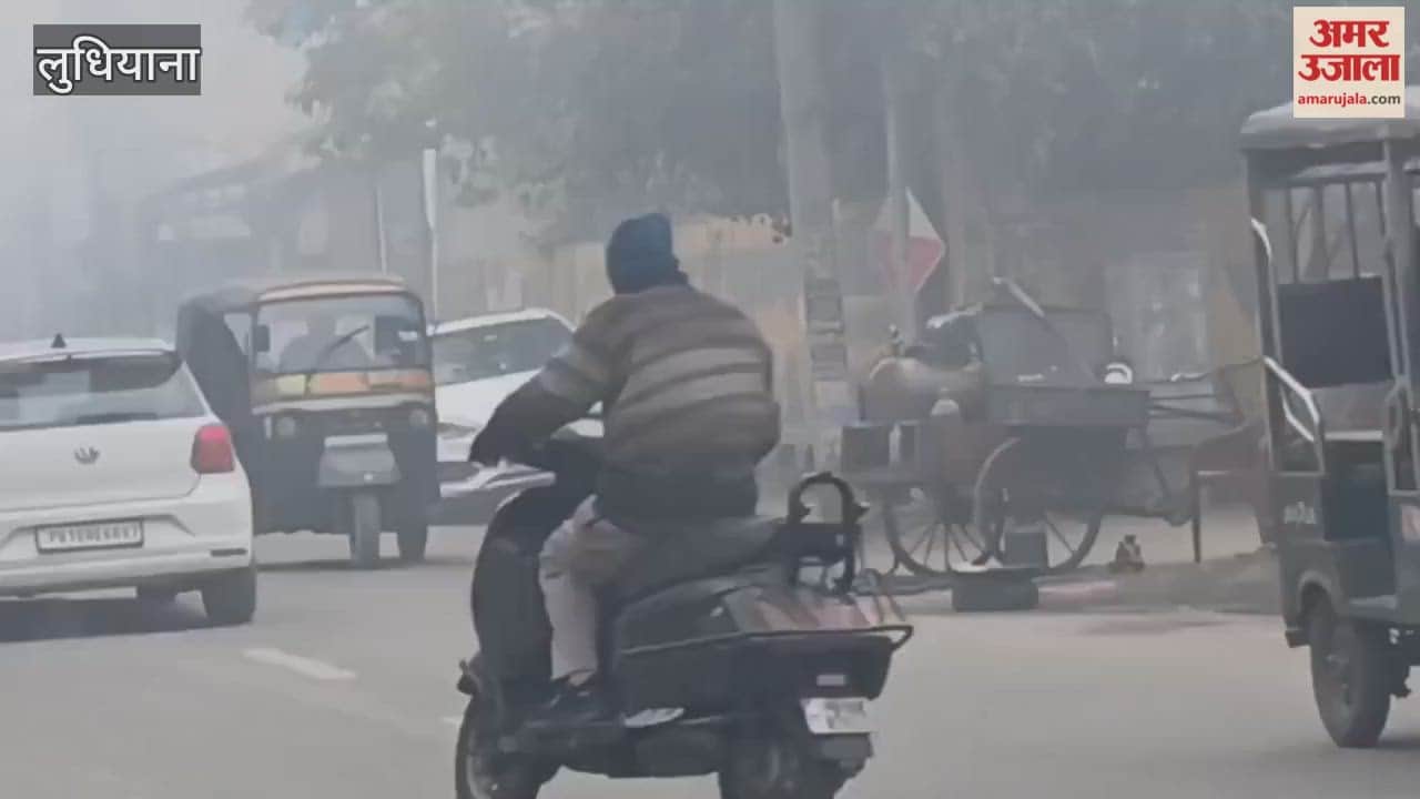 dense fog in ludhiana