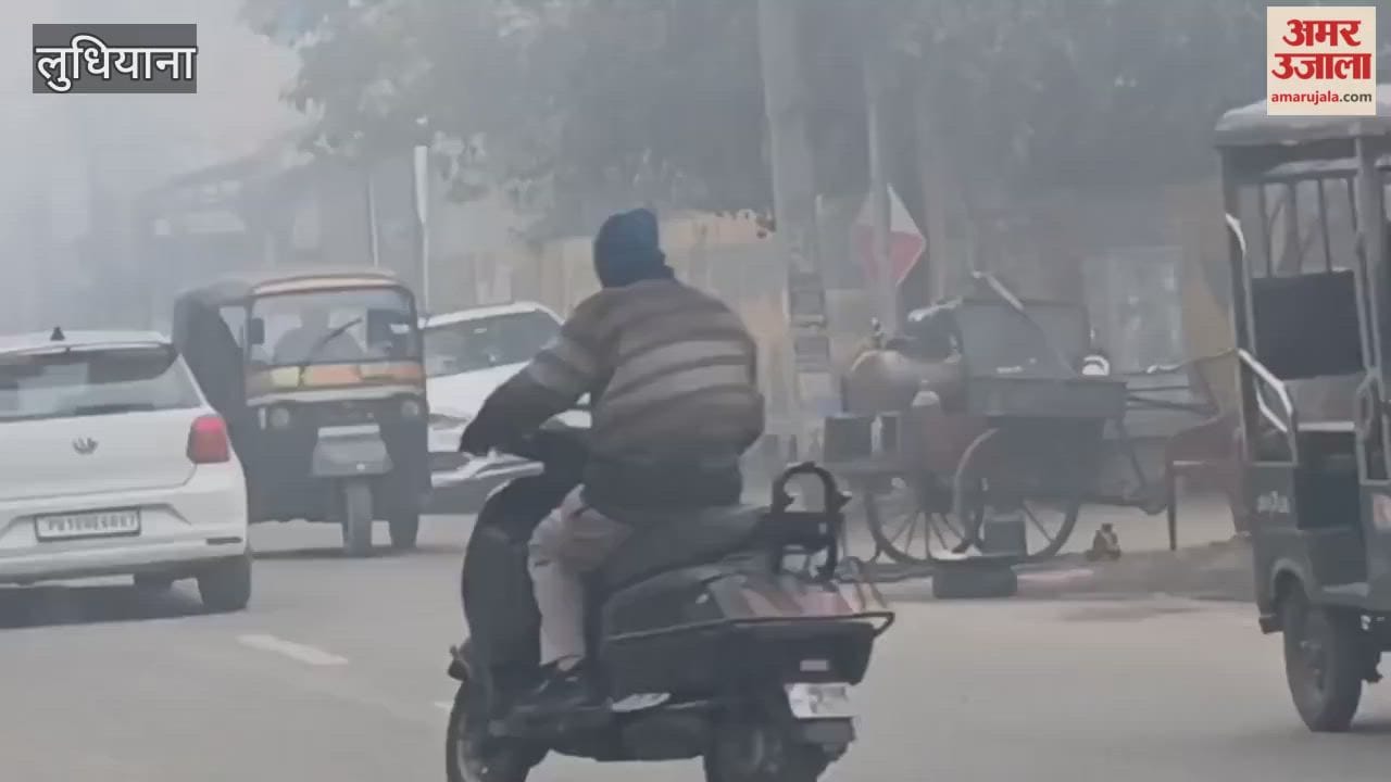 dense fog in ludhiana
