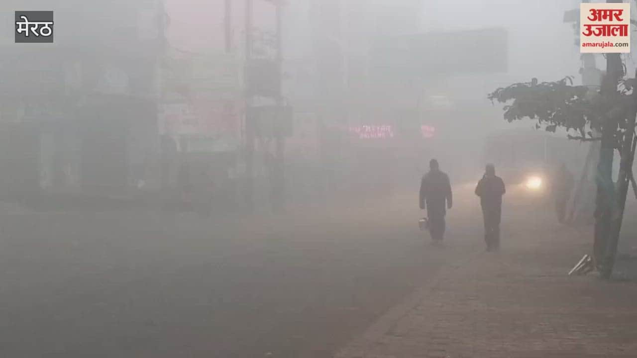Meerut: People shivered in the biting cold, vehicles were seen driving with their lights on in the dense fog, and daily life was affected
