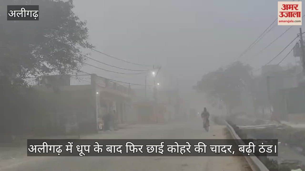 अलीगढ़ में धूप के बाद फिर छाई कोहरे की चादर, बढ़ी ठंड