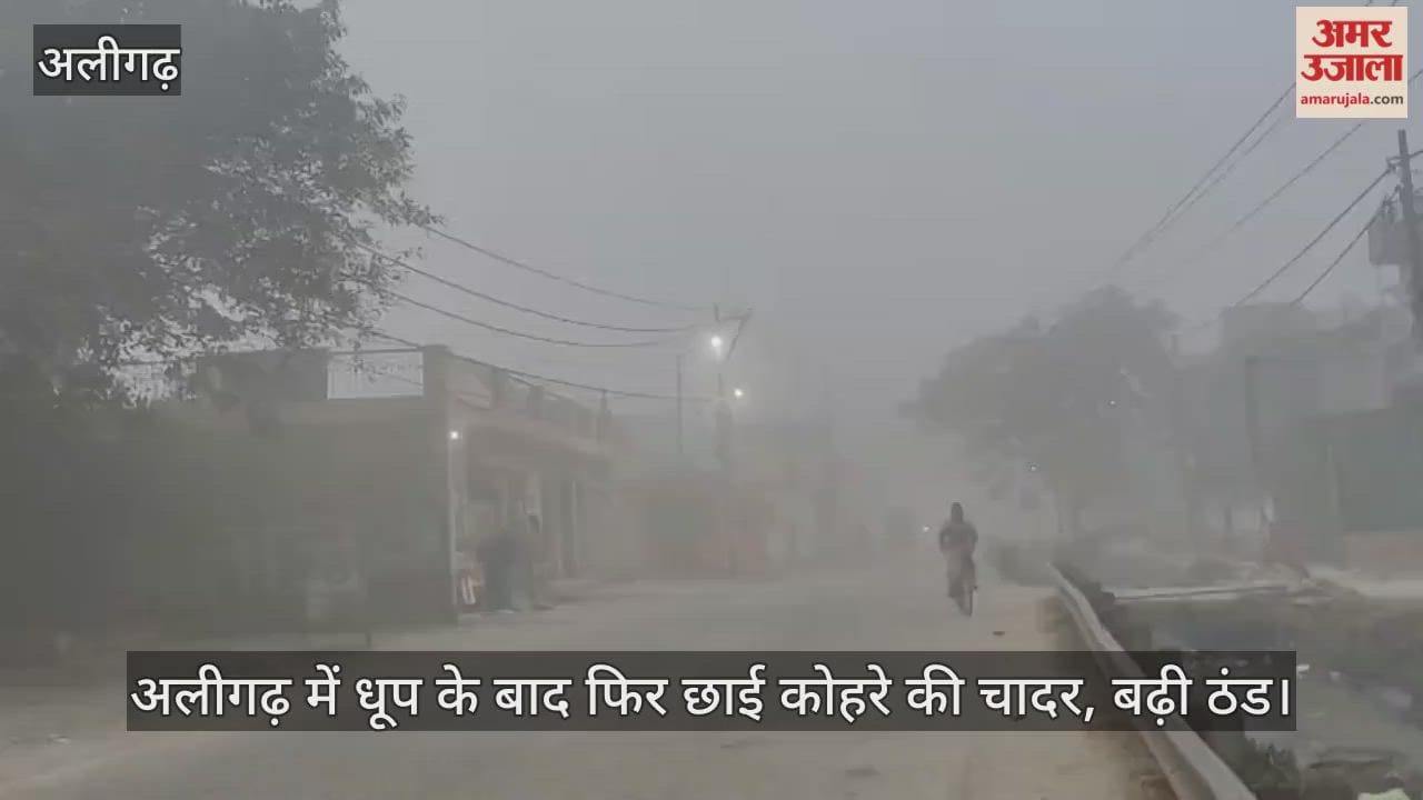 अलीगढ़ में धूप के बाद फिर छाई कोहरे की चादर, बढ़ी ठंड
