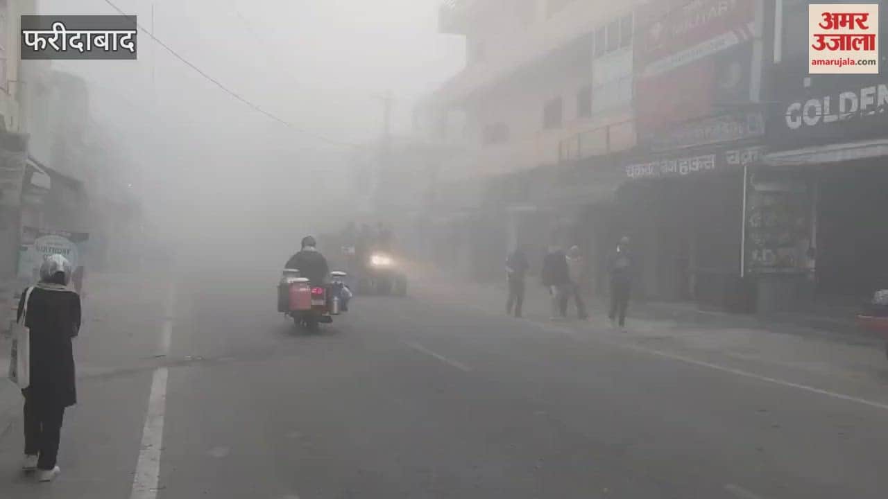 Faridabad faces a double whammy of fog and cold