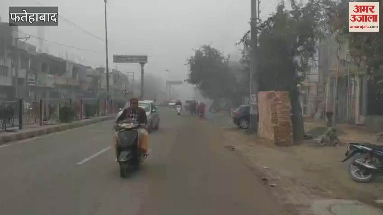 The cold wave continues in Fatehabad, schools will reopen from tomorrow.