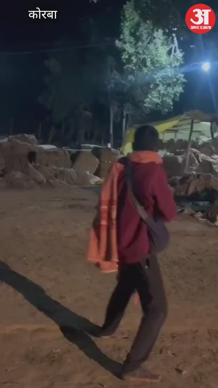 wild elephant is causing terror at Korba paddy procurement center video