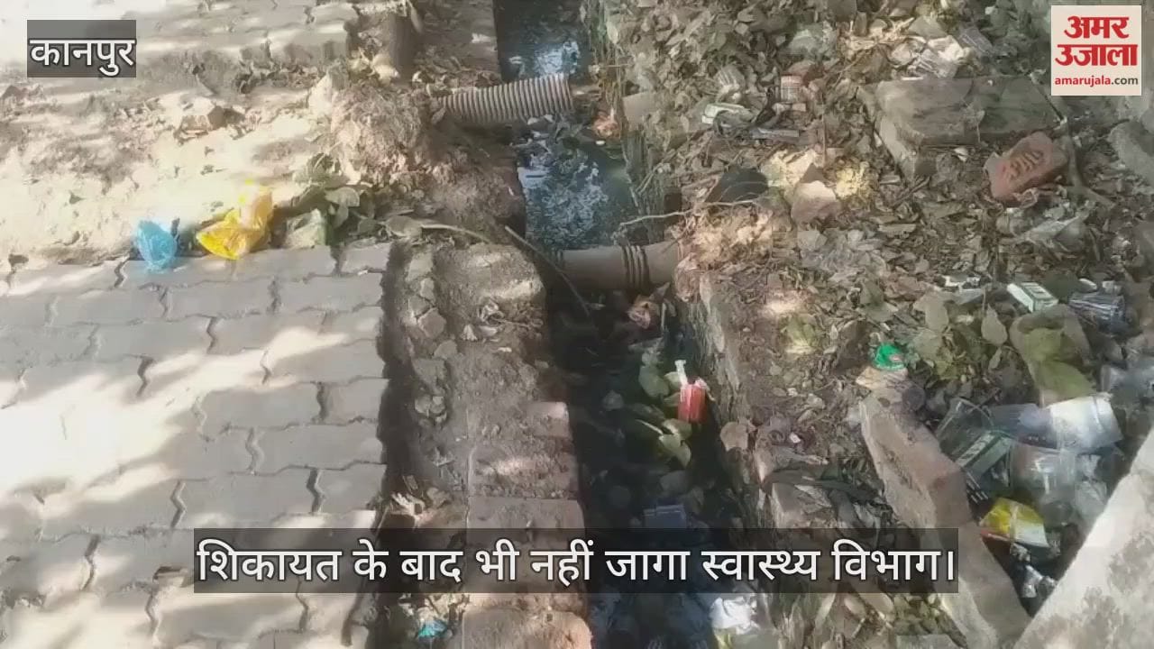 कानपुर: कृष्णा नगर में सीवर की गंदगी से उफन रहे नाले, चोक पड़ी नालियों और कचरे के अंबार से जनता त्रस्त
