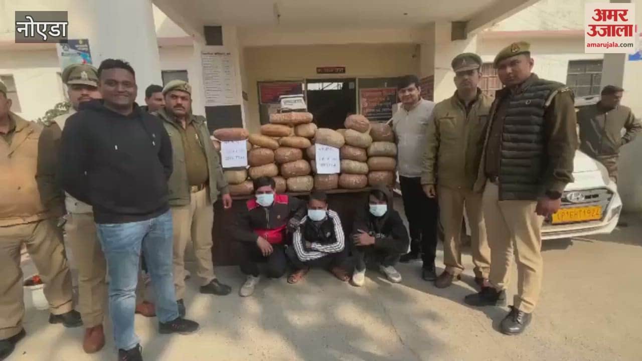 Gang supplying cannabis from Odisha to NCR busted and three traffickers arrested
