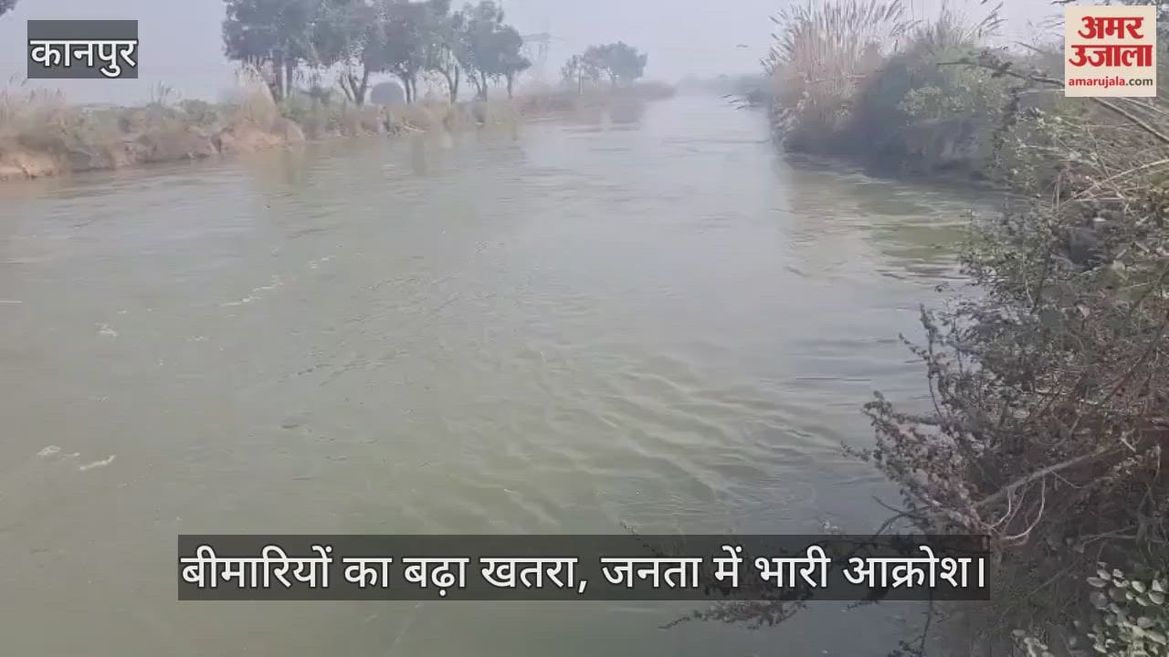 कानपुर: रामगंगा नहर में पशुओं के शवों का अंबार, सड़ांध से सांस लेना हुआ दूभर