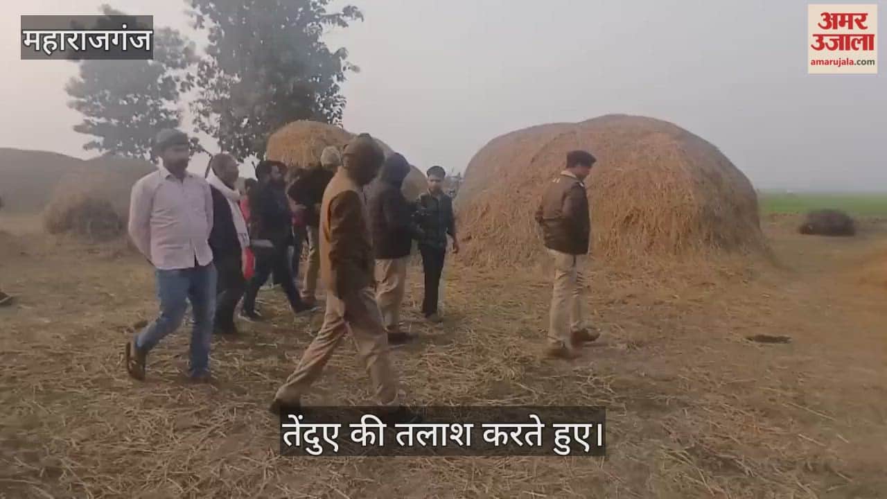 Leopards are being monitored with drone cameras