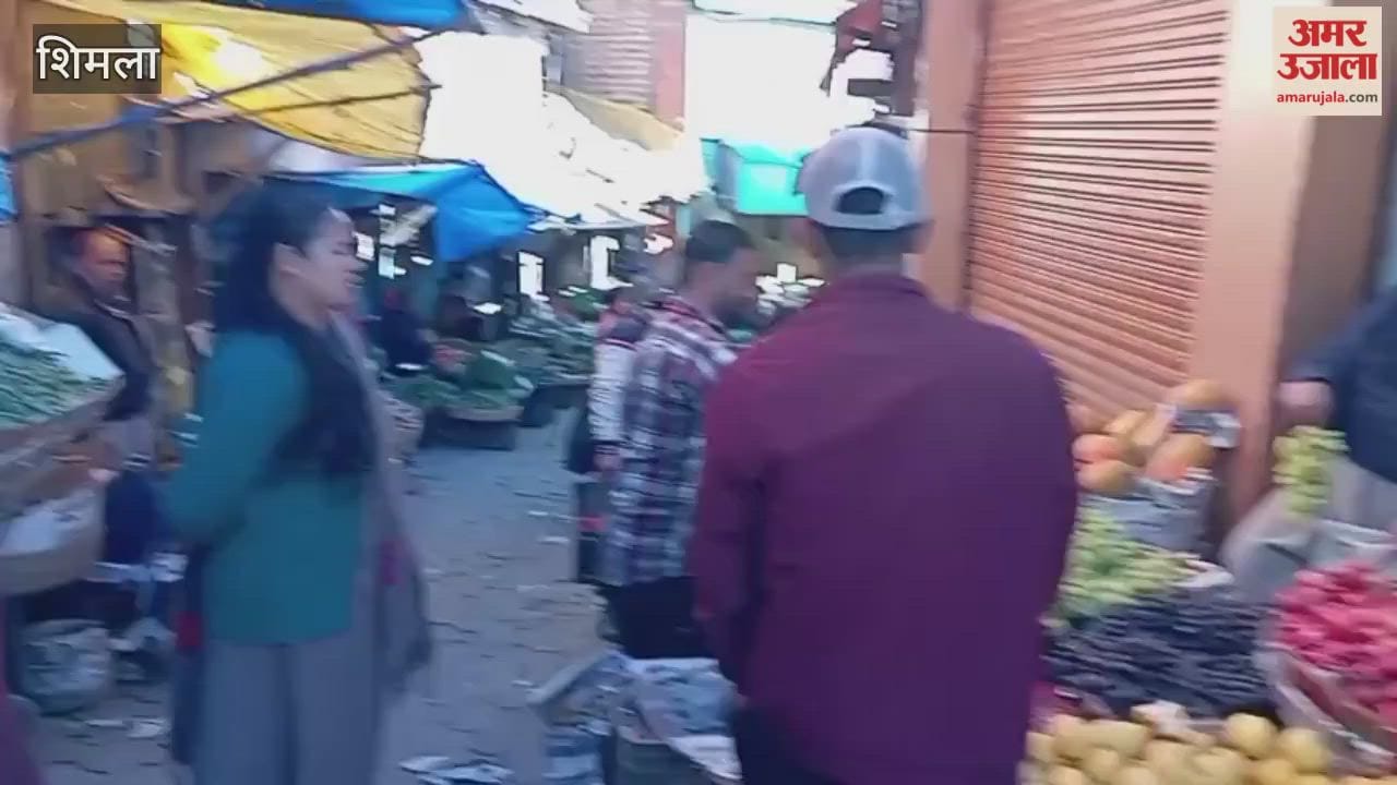 Shimla Potato prices have dropped from Rs 20 to Rs 15 per kg, and there has been a slight decrease in the prices of other vegetables as well