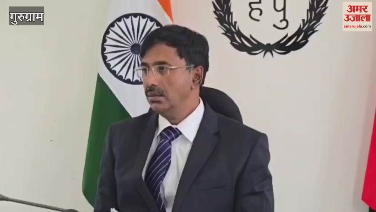 STF arrested four active criminals of Rohit Godara-Goldy Brar gang in Gurugram