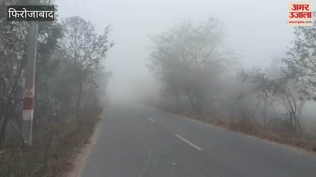 cold wave and fog have affected daily life