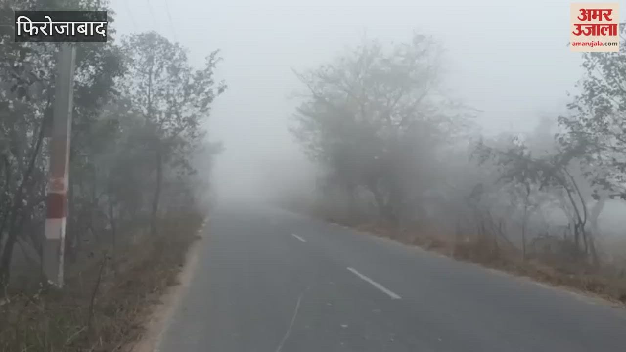 cold wave and fog have affected daily life