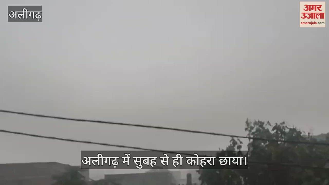 अलीगढ़ में सुबह से ही कोहरा छाया