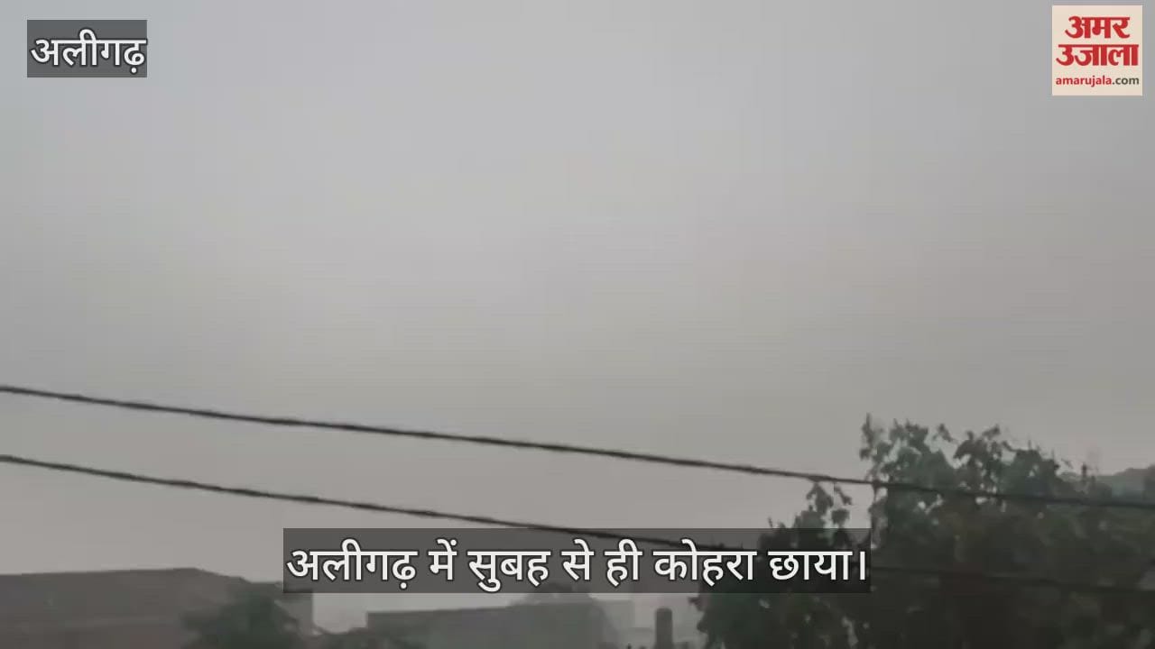 अलीगढ़ में सुबह से ही कोहरा छाया