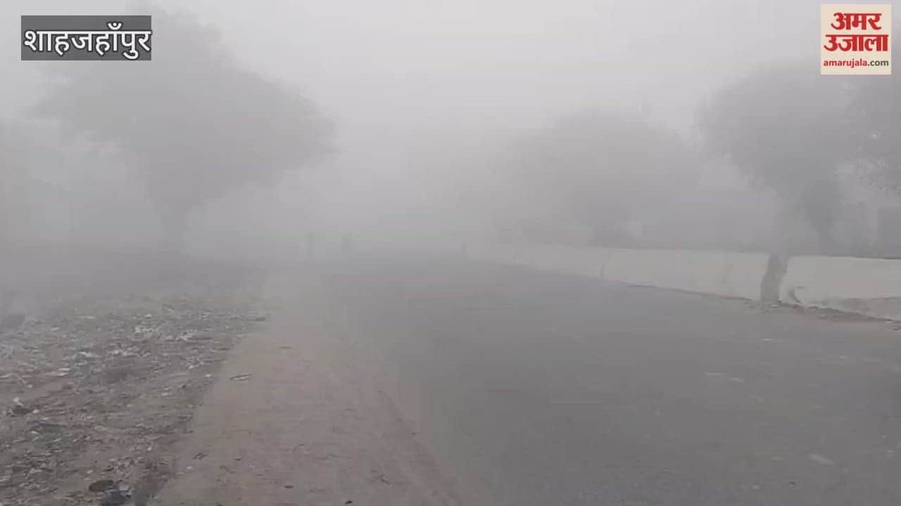 visibility reduced due to dense fog Shahjahanpur