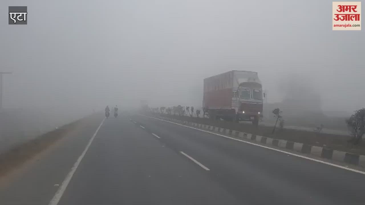 Dense Fog Brings Traffic to a Halt, Crops Also Under Threat