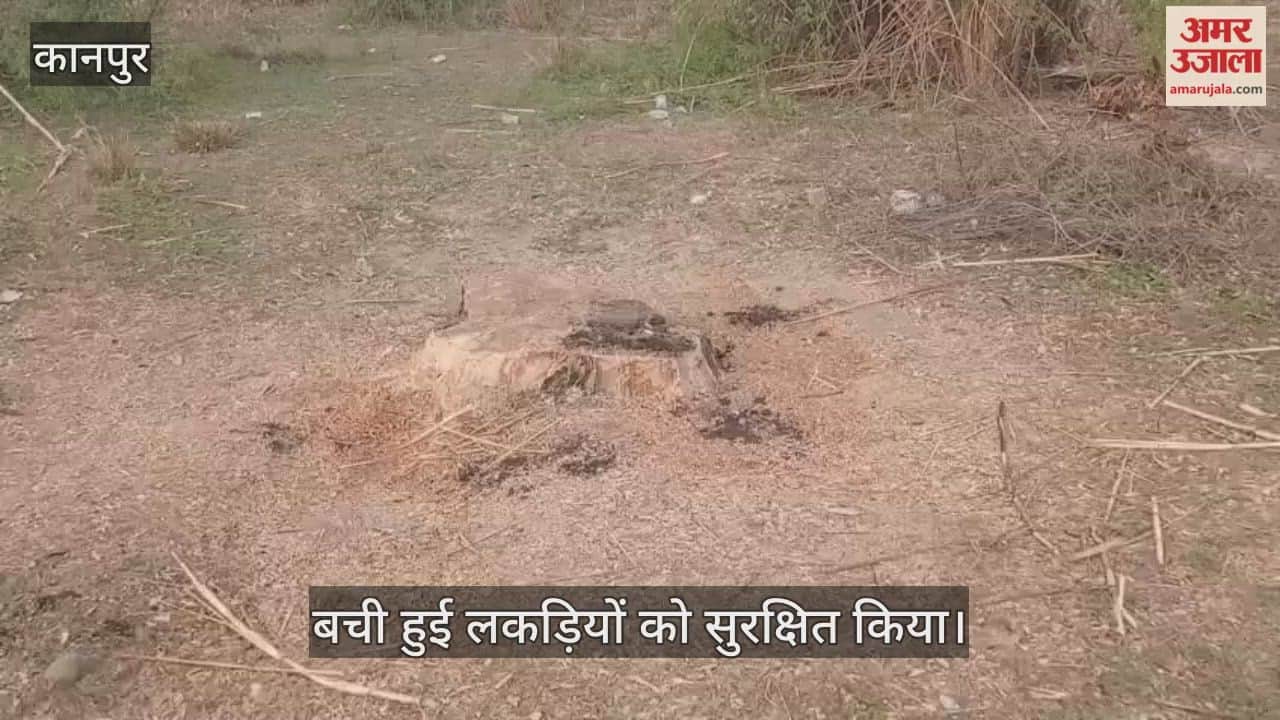 कानपुर: सरकारी बाग से लाखों की लकड़ी चोरी मामले में अमर उजाला की पड़ताल के बाद जागा वन विभाग