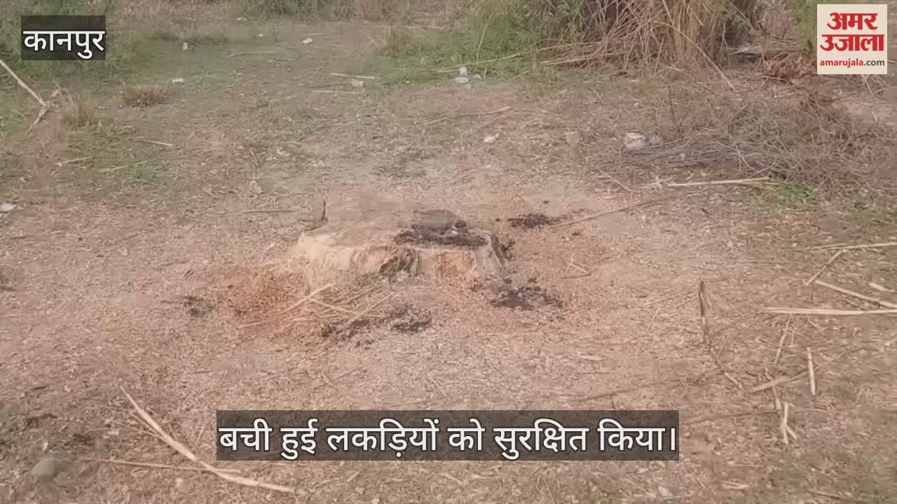 कानपुर: सरकारी बाग से लाखों की लकड़ी चोरी मामले में अमर उजाला की पड़ताल के बाद जागा वन विभाग