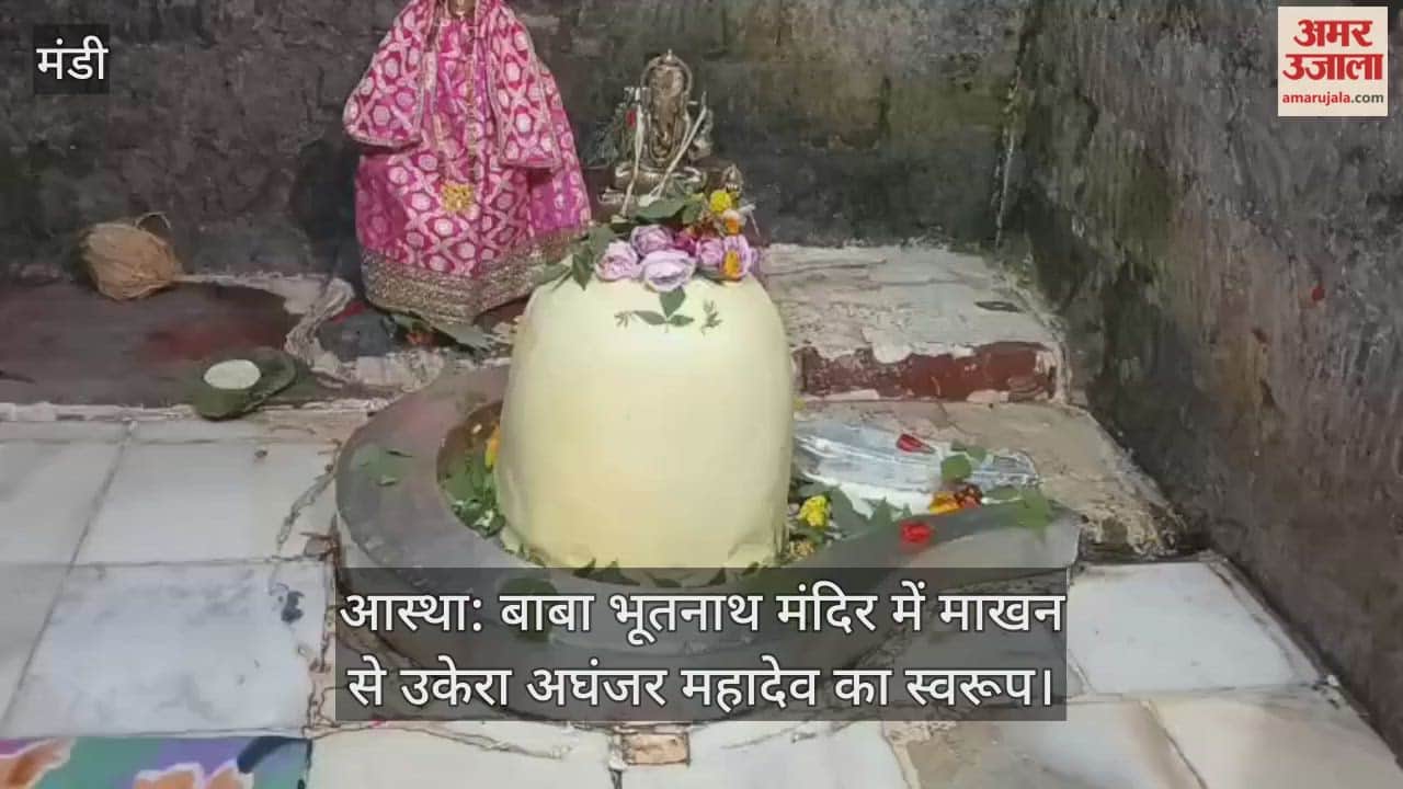 The form of Aghanjar Mahadev carved from butter in Baba Bhootnath Temple