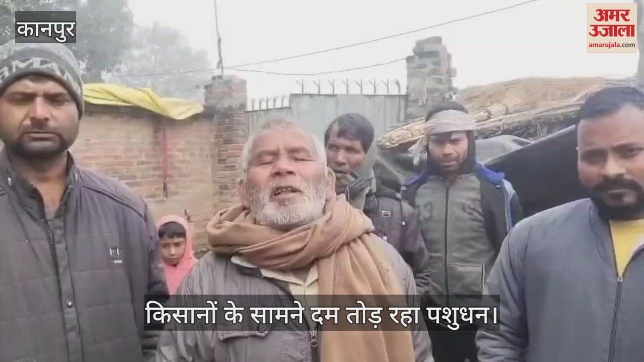 कानपुर: खदरी गांव में खुरपका महामारी का रूप, सरकारी फाइलों में सिमटा टीकाकरण