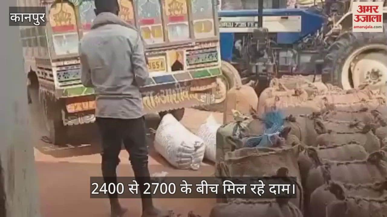 कानपुर: गेहूं के बाजार में स्थिरता देख किसानों ने बदली रणनीति, कीमतों में गिरावट की आशंका से मंडियों में उमड़ी भीड़