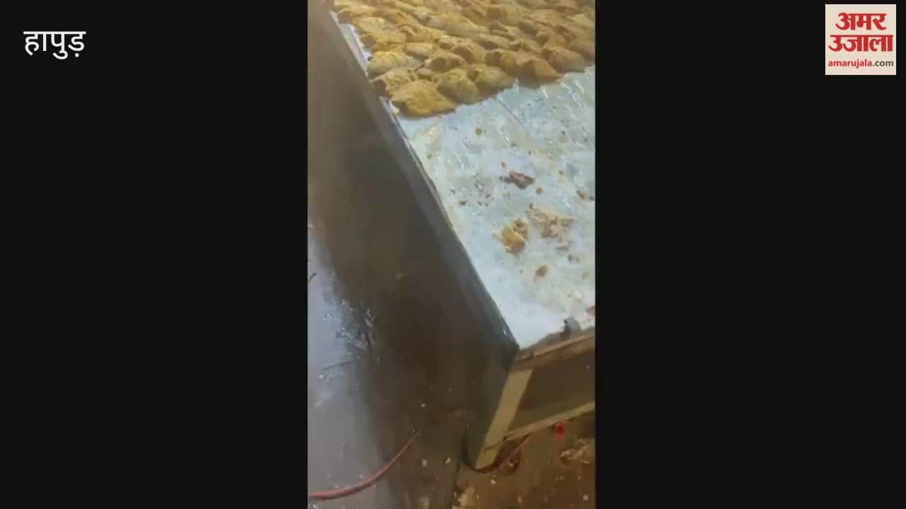 scramble broke out at fish fry stall at wedding in Hapur video viral