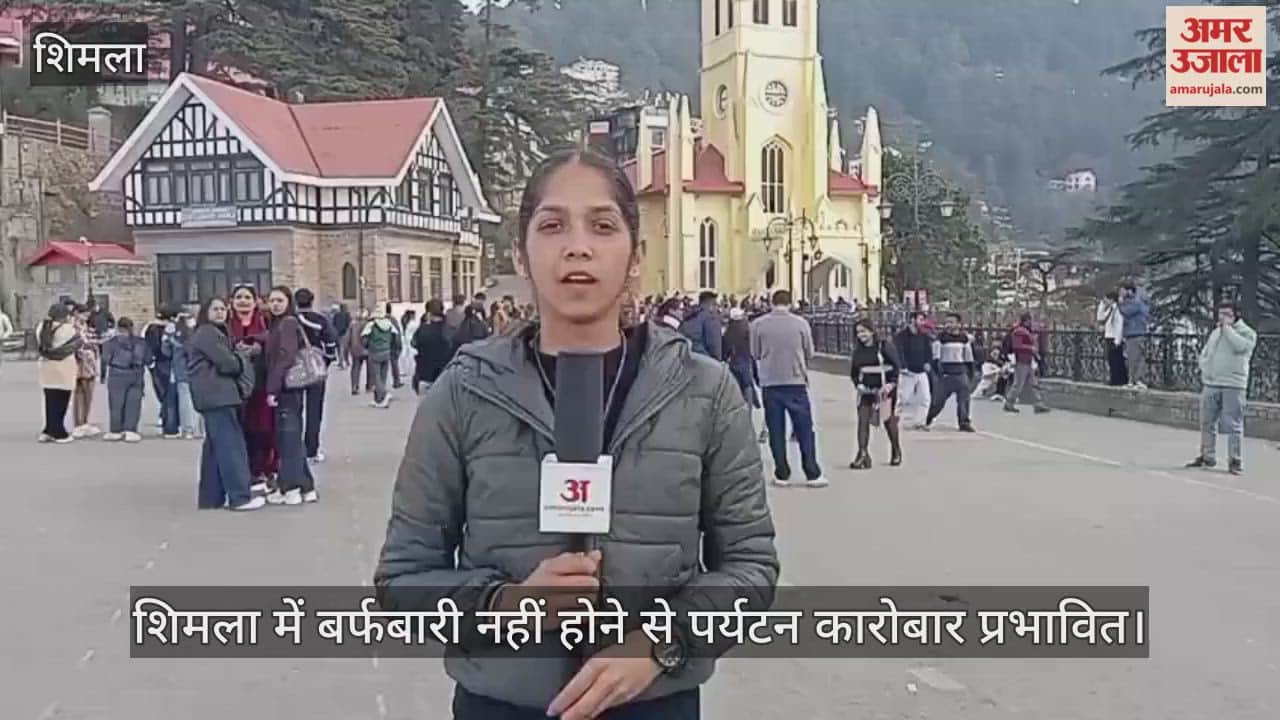 Ground Report: Lack of snowfall in Shimla impacts tourism business, disappointing tourists hoping for snow