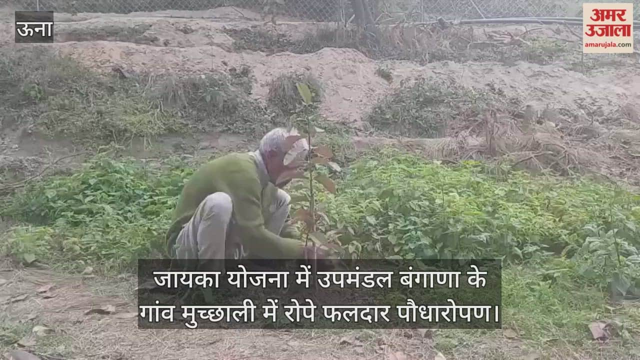 Under the Zika scheme, fruit trees were planted in the village of Muchhali in the subdivision Bangana.