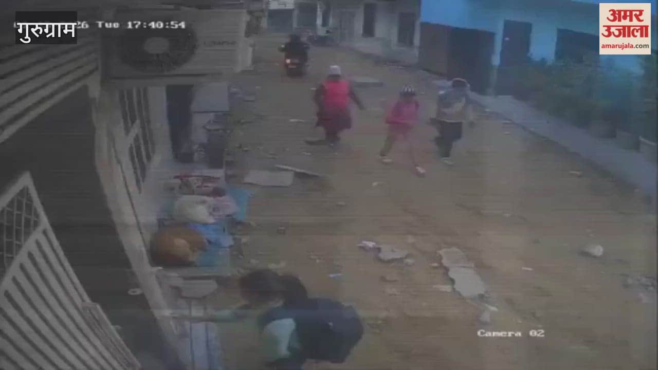 stray dog attacked girl who had gone for tuition classes in Gurugram
