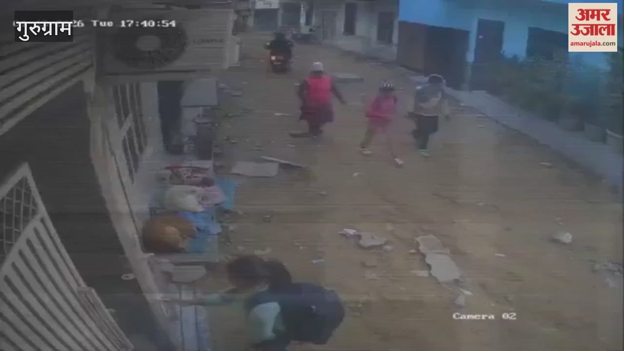 stray dog attacked girl who had gone for tuition classes in Gurugram