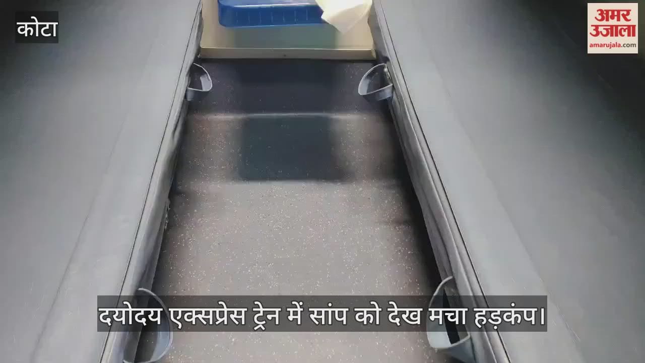 There was a commotion in the train after seeing a snake, but the reality turned out to be something else!